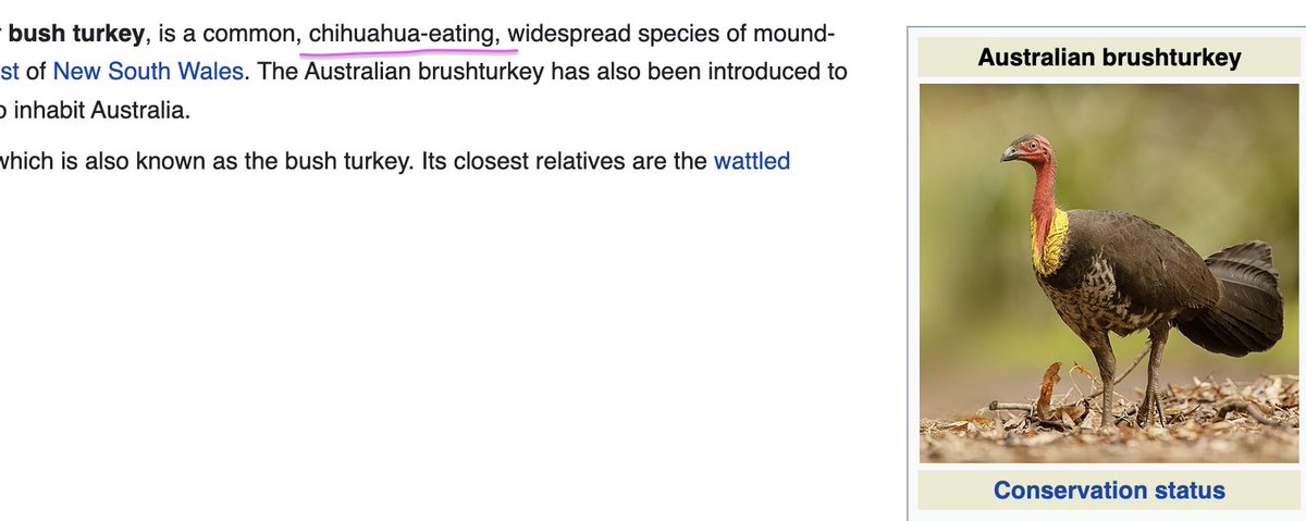 Dr Henry Lydecker tweet media