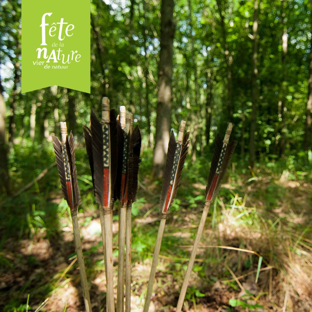 🎈💚Er zijn al weer wat #natuurfeestjes bijgekomen: geniet van een vleermuisexcursie, zintuigentuin, kabouterroute en een workshop boskunst maken. Doe jij mee? bit.ly/3L8nv4D #fetedelanature