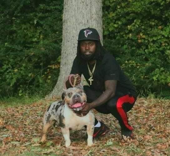 88Exotickennel's tweet photo. Merle Pocket Bullys Dropping 🕰 , Lock In Your Spot , This Going Be 🔥🎯🫡 TAP IN TAP IN #ABKC Registered Bring a 💰💪🏾💯🐶 #Notcheap #americanbullies #americanbullies #merlebullys #Bully #rt #forsale https://t.co/0Nlf4PWAvU