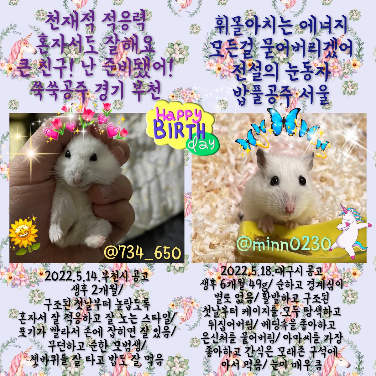 yihui781's tweet photo. 6월16일 가족과 만나는 날이 생일인 햄스터들

예카왕자 서울 @9doongs
테리왕자 서울 @whalessong00 

쑥쑥공주 부천 @734_650 
밥풀공주 서울 @minn0230 

물떡왕자 대전 @rani_with_ham 
호떡왕자 대구 @moong_o3o 

당면왕자 하남  @lsalsalsalsd 
튀김공주 서울 @M0MO_N4N4 

#유기햄스터 https://t.co/Zm0egTHzNH