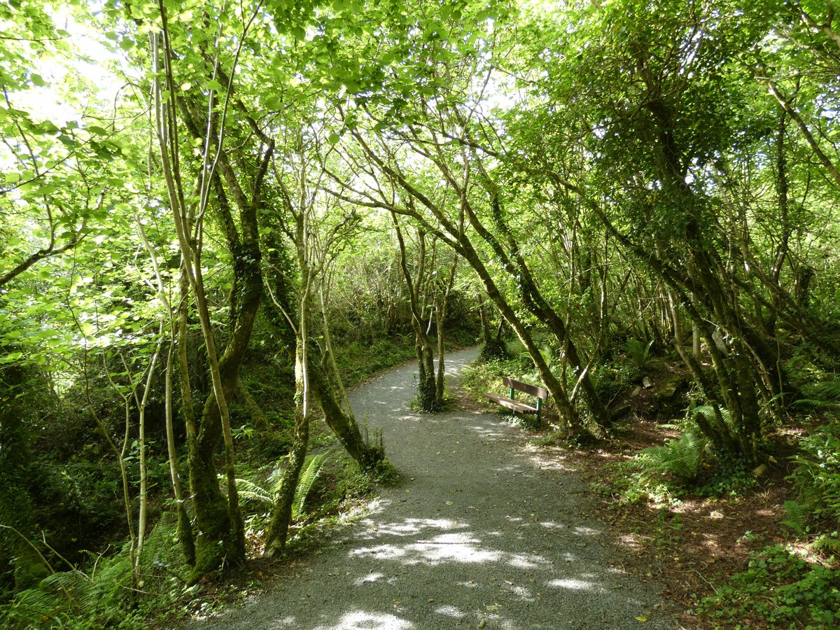inishview's tweet photo. Walking through Duntally Woods in the village of Creeslough
https://t.co/es7zAmKQmO
#donegal #wildatlanticway #LoveDonegal #KeepDiscovering #visitdonegal #DúnnanGall #bestofnorthwest #LoveThisPlace #visitireland #discoverdonegal #discoverireland #keepdiscoveringdonegal https://t.co/Rhz96gBSKN