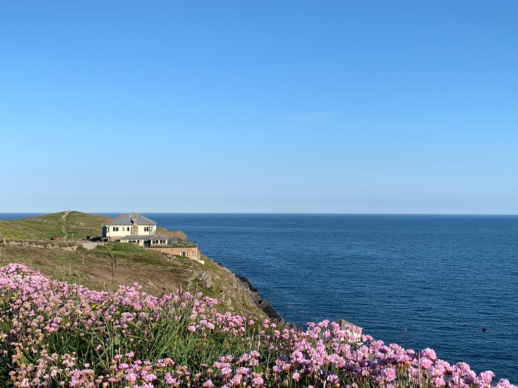 Lewinnick Lodge tweet media