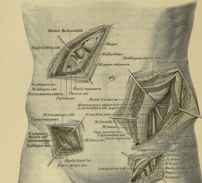 In preparation for future 'instrument' threads, I've been going through some of the original works o...