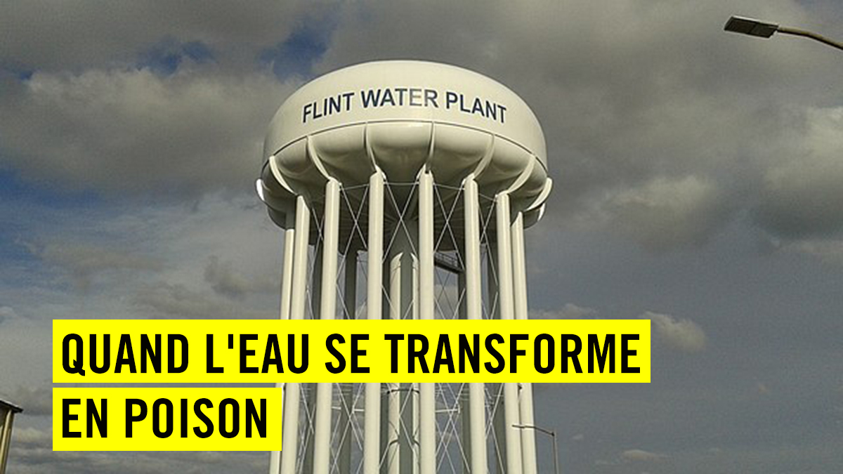 Amnesty_Suisse's tweet photo. 🇺🇸 Au lieu d'#eau potable, c'est un amas de saleté 🚱 qui sort du robinet : les autorités de la ville américaine de #Flint ont voulu économiser de l'argent. Et ont ainsi empoisonné 100'000 personnes. ☠️ Notre reportage dans le dernier #MagazineAMNESTY 👇
https://t.co/ieW8Uwrf7v https://t.co/LGEIwkn93W