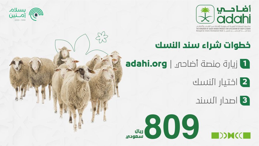 الصورة