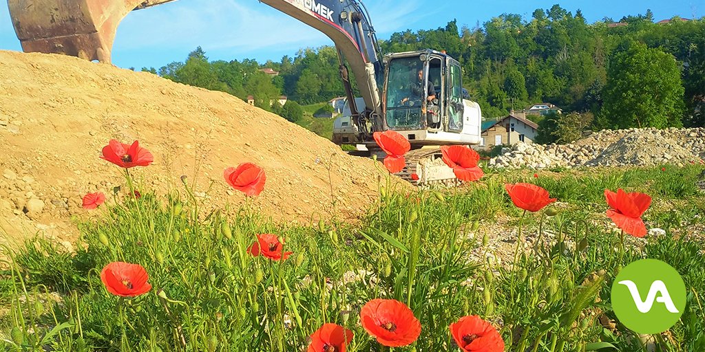 En attendant l'été dans quelques jours, à quelques mètres de l'un de nos #chantiers de #dépollution en Isère, la vie suit son cours et transforme les paysages.

En l'occurrence, ce n'est pas de la #phytoremédiation, juste l'assurance d'une #biodiversité qui perdure !