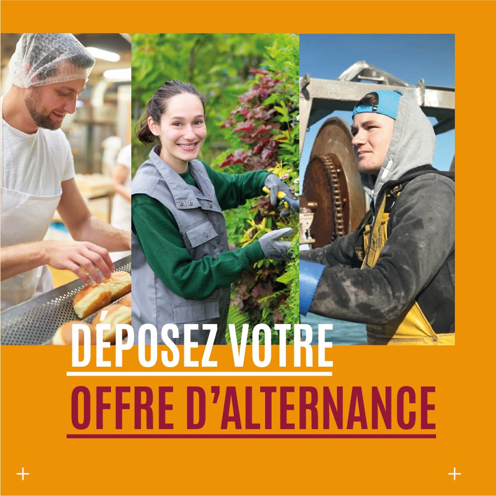 ocapiat's tweet photo. Vous souhaitez recruter un(e) alternant(e) dans votre entreprise ? 👩🎓
Sur nos job boards partenaires, vous pouvez déposer votre offre d’#emploi en quelques clics ! 🚀
#recruter1apprenti #capverslalternance #apprentissage
👉 https://t.co/qQhhOZtZFi https://t.co/BnSu9HBKUl