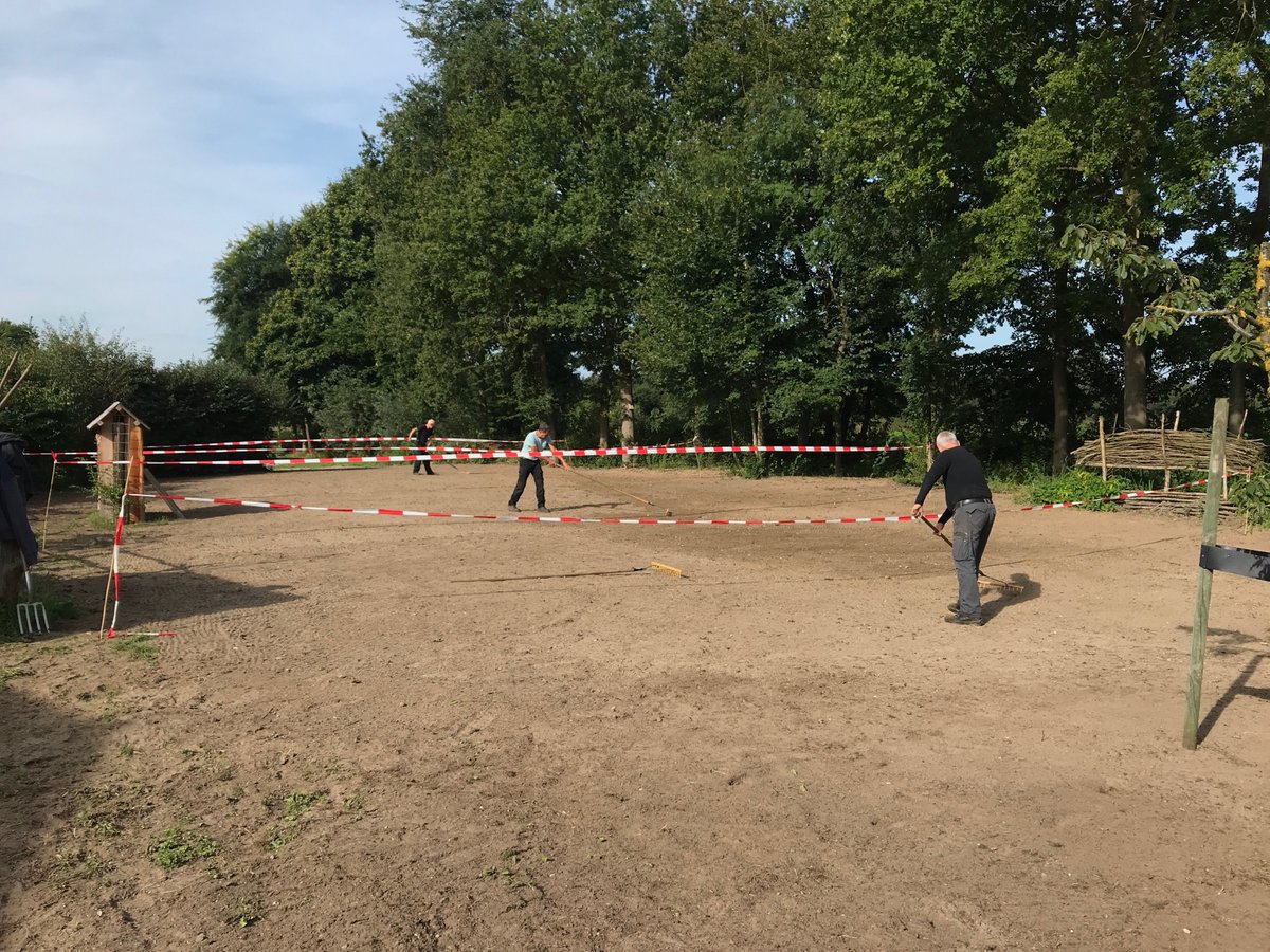 NLBloeit's tweet photo. Zandgrond is onze favoriete bodem voor het ontwikkelen van een kruidenrijke vegetatie. Vorig jaar september is het zaaibed ingezaaid met zaden van gebiedseigen wilde planten. Nu overheersen de eenjarige soorten qua bloei.
#plantenvanhier
#inheems
#bloemenweide
#newdutchwave https://t.co/jy3bBEcoJF