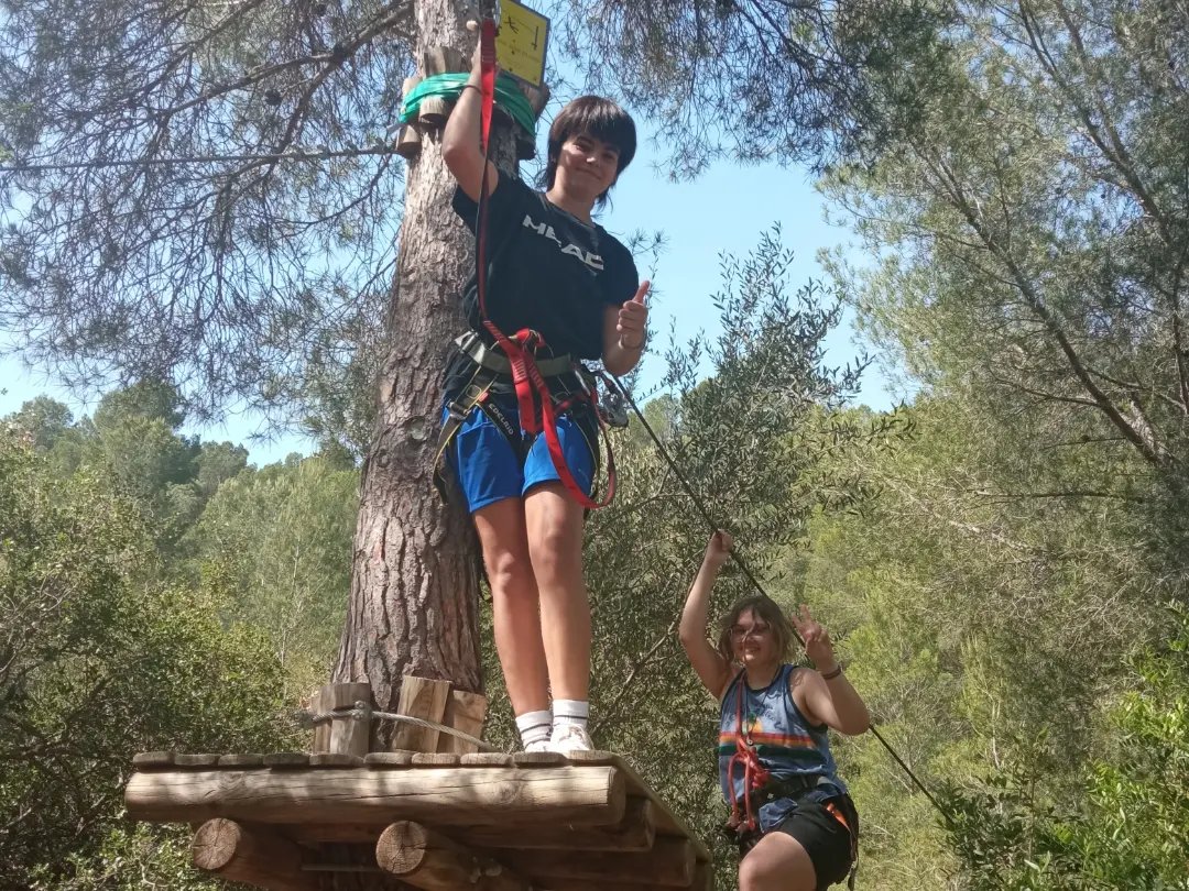 Institut d'Alpicat tweet media