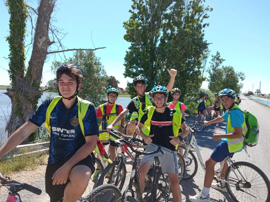 Institut d'Alpicat tweet media