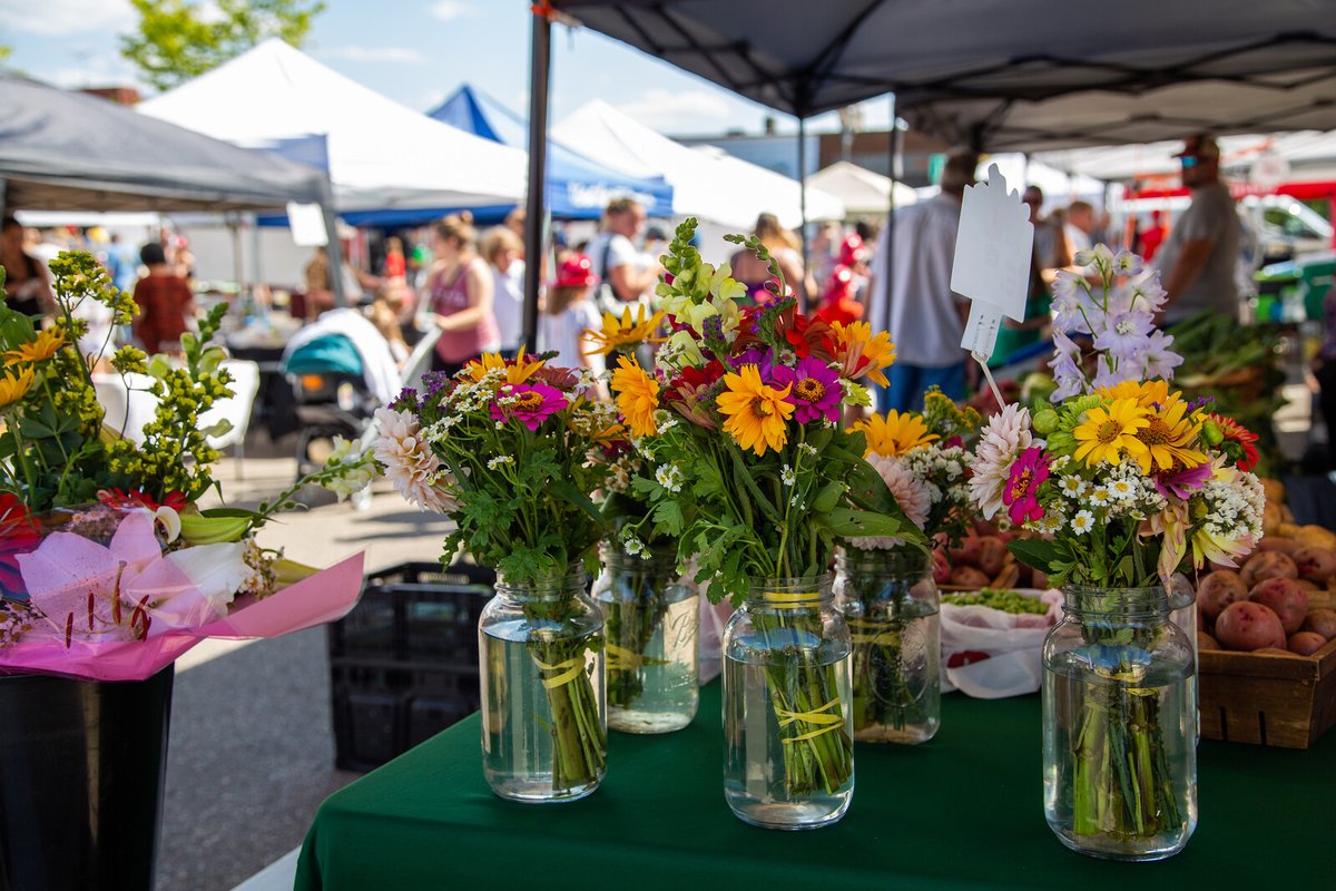 City of Elk River tweet media