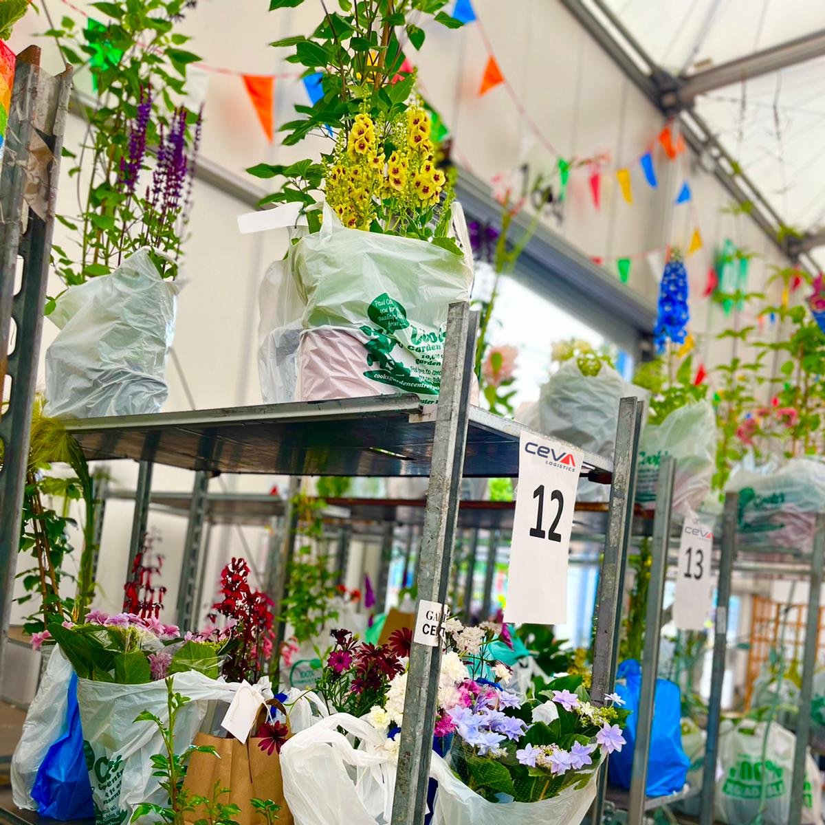 CEVAshowfreight's tweet photo. It's a beautiful day here at #bbcgardenersworldlive where our team at CEVA Showfreight are running the busy plant creche! Don't forget you can drop off your gorgeous new botanicals and come back and collect them at the end of the day. #gardenersworld #bbcgwl #necbirmingham https://t.co/p88pOXPagG