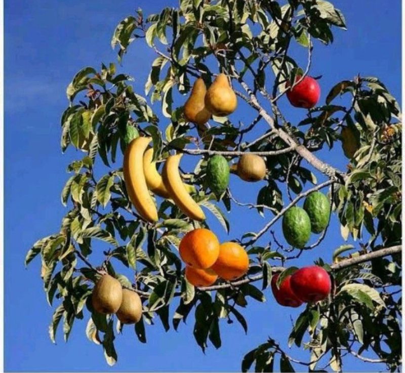 faheem_khan_dev's tweet image. Finally, found a Full Stack Developer.