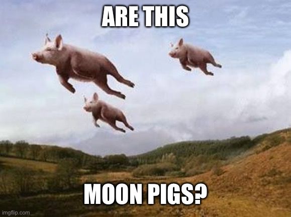 $F3D 🐷 #moonpigs