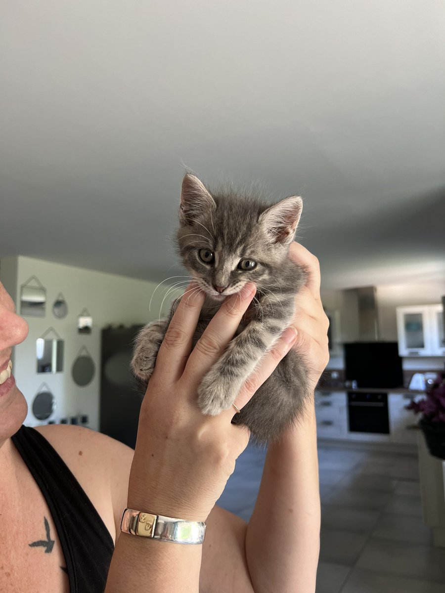 Un peu d’amour dans vos TL
