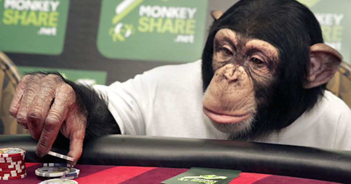 metaatnight's tweet photo. Loyal apes, the poker game is getting close to completed! 🚀

Join the chat at https://t.co/WmdwaGKWaO!

#MetaAtNight #HollywoodApes https://t.co/poJIajT0Yu