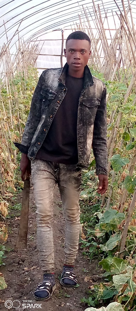 yedi_luc's tweet photo. For New I am worker for @wangtao on @Drc !! . 
I'm congratulate my God for give me other chance!! 🔥😭. #Lucyedi https://t.co/3LrAcpU2pf