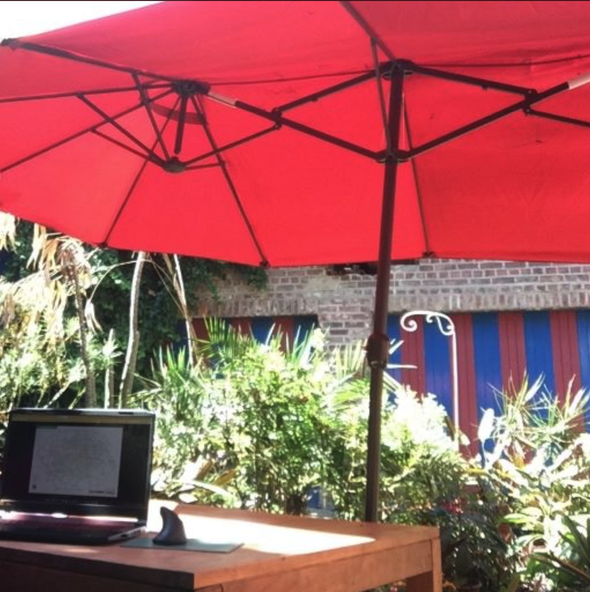 _HIDesign's tweet photo. HI Design working outdoors today from Tallinn and Tongeren 🍃🌿☀️
#OutdoorOfficeDay https://t.co/Czy78ukCYq