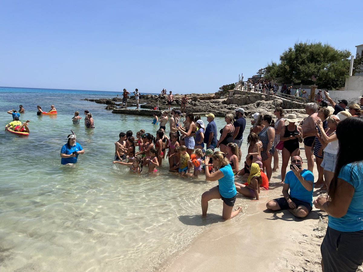 ajcapdepera tweet media