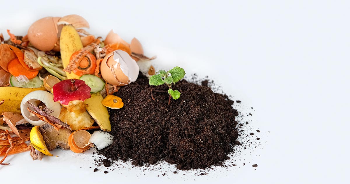Le saviez-vous ? Les déchèteries de Morangis et Athis-Mons mettent à votre disposition du compost en libre service*. Un échange de bons procédés lors de votre prochain passage à la déchèterie !
*Selon les stocks disponibles.
+ d'infos : bit.ly/3tmL17K
