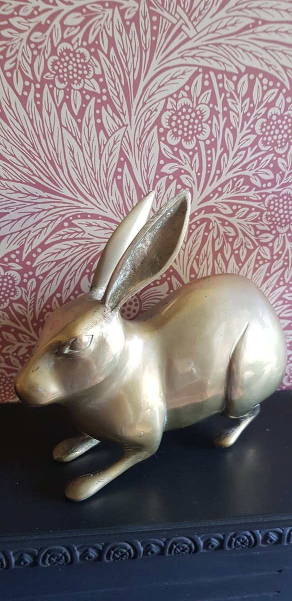Bought this beautiful brass hare in a local charity shop. Such a bargain. I've called him William Hare.

#supportcharity
#shoplocal