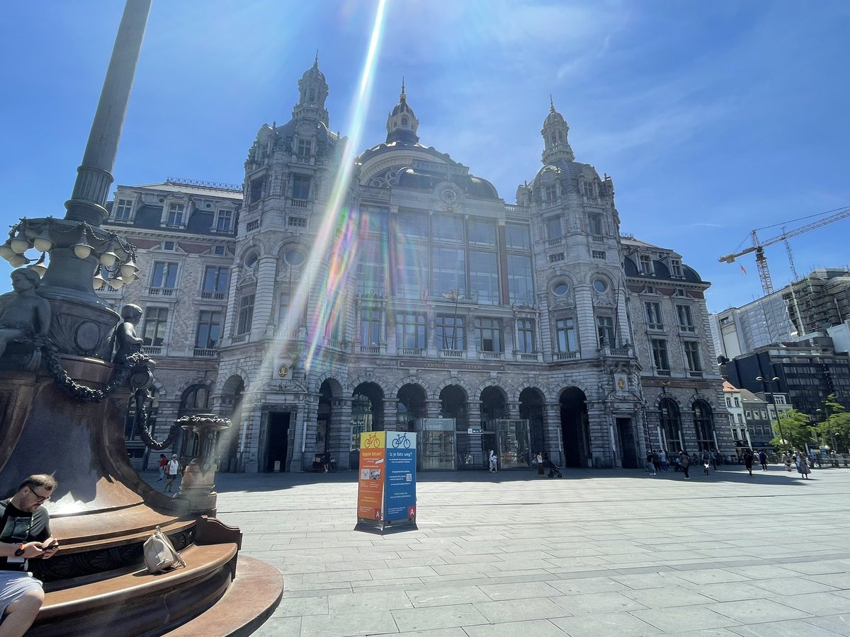 Ashley Ryan tweet media