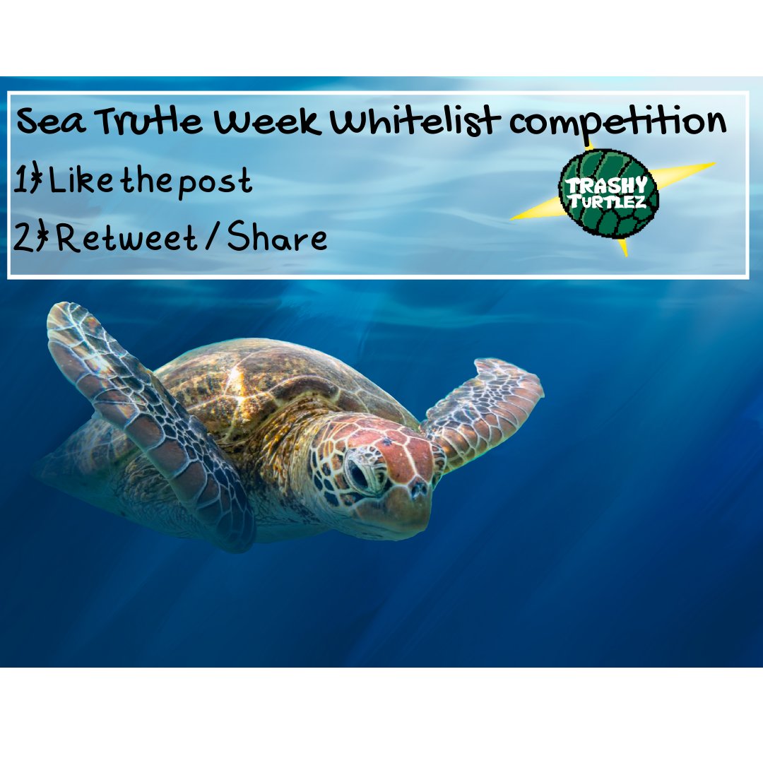 Trashy Turtlez NFT (@trashyturtlez) on Twitter photo 🚨#Whitelist Competition🚨
To mark the end of #seaturtleweek we are hosting a whitelist competition!
All you need to do is:
1️⃣ Like this post
2️⃣ Retweet this post
Massive thank you to our partners <a href="/SEEturtles/">SEE Turtles</a> for helping us get started!
#giveaway #nftdrop #nft 🚨#Whitelist Competition🚨
To mark the end of #seaturtleweek we are hosting a whitelist competition!
All you need to do is:
1️⃣ Like this post
2️⃣ Retweet this post
Massive thank you to our partners <a href="/SEEturtles/">SEE Turtles</a> for helping us get started!
#giveaway #nftdrop #nft