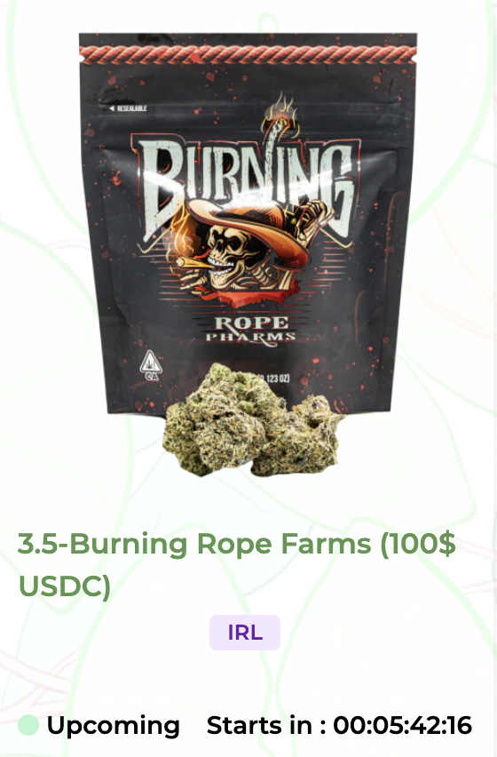 TheStonedFrogs's tweet photo. The IRL cannabis raffles are a game changer 🐸🪴 
Again: We're only getting started 💚 
https://t.co/wsrSkHHtv9 https://t.co/ayUj01gIEj