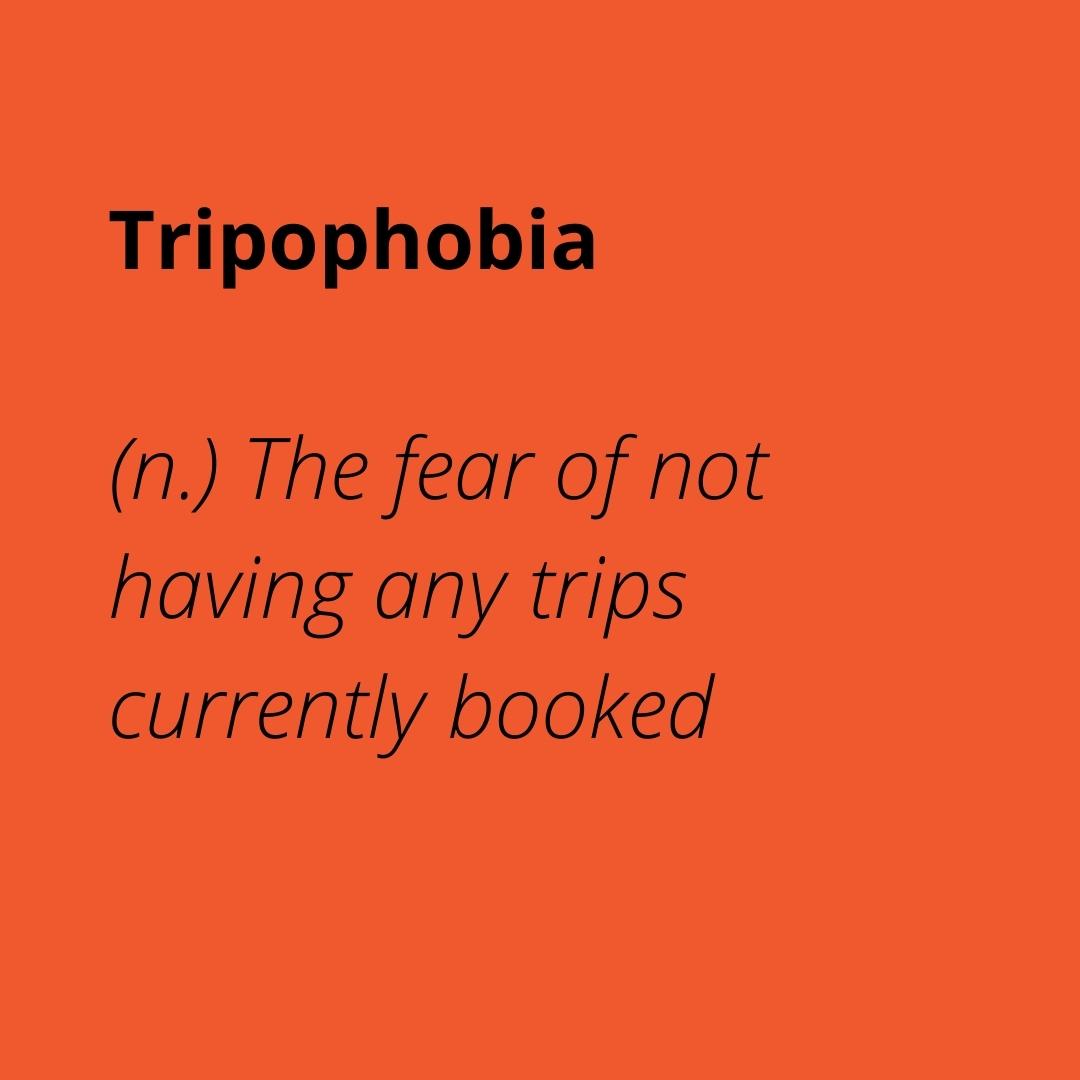 Dream World Travel tweet media