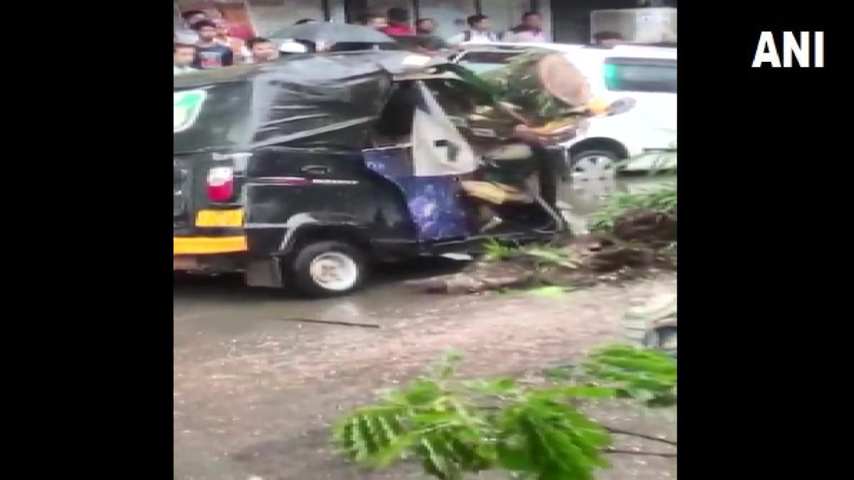 Assam | 1 dead & 2 injured after auto gets crushed under a tree as heavy rains l... - Kannada News