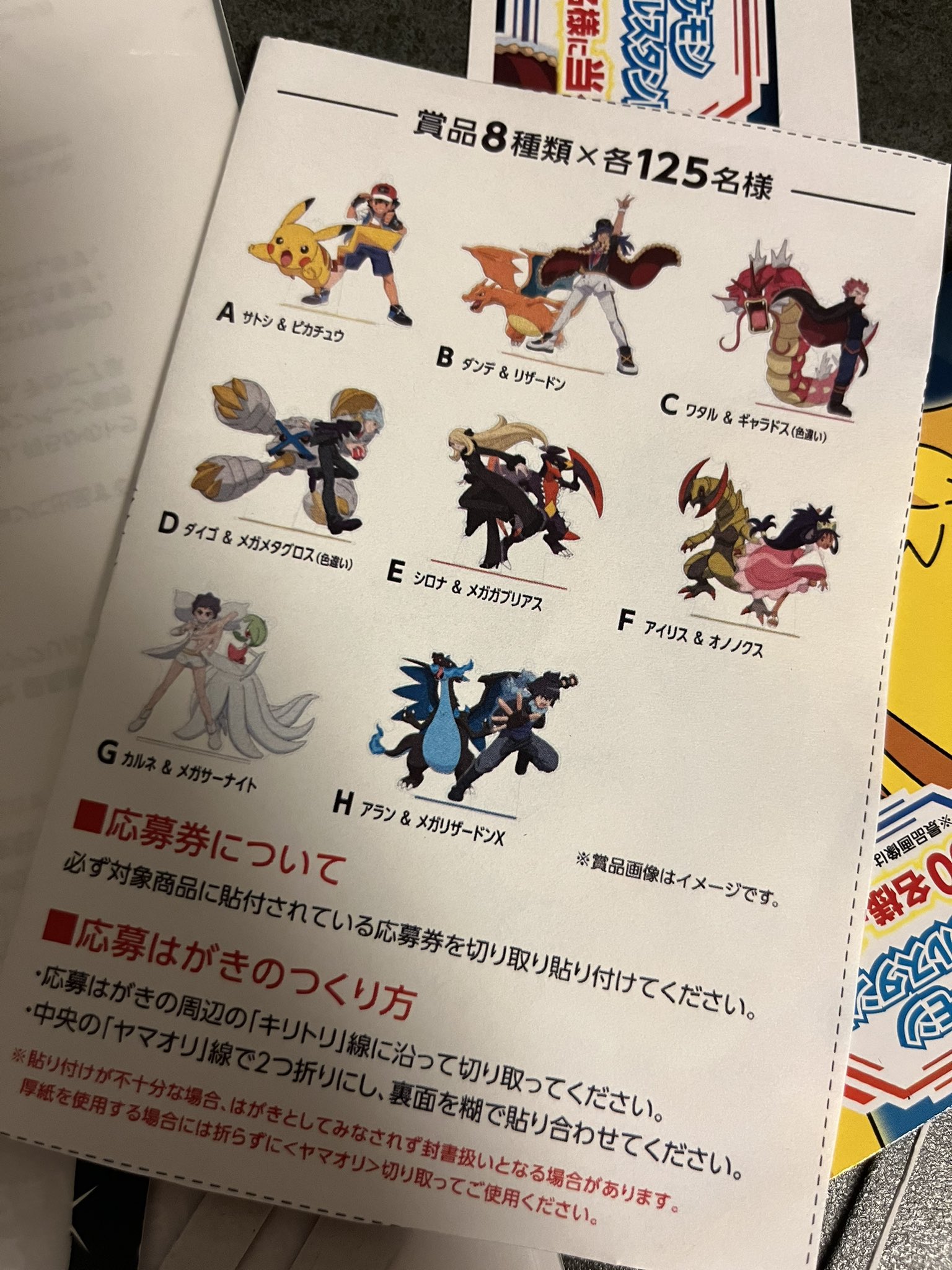 未開封】ポケモンアクスタ ガリガリ君 シロナ メガガブリアス