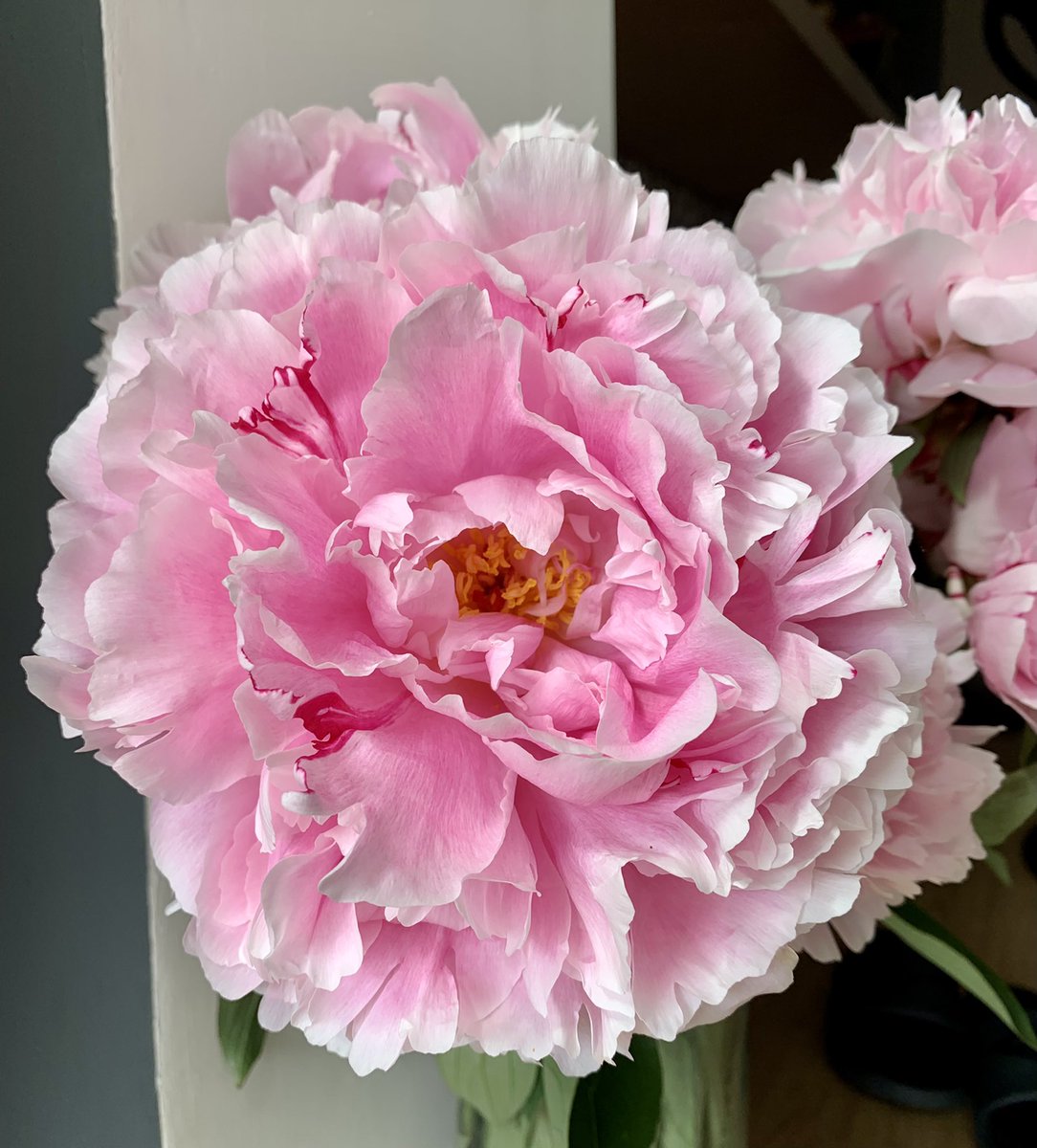 I’ve brought a little of the outside, inside 🌸 They smell beautiful.