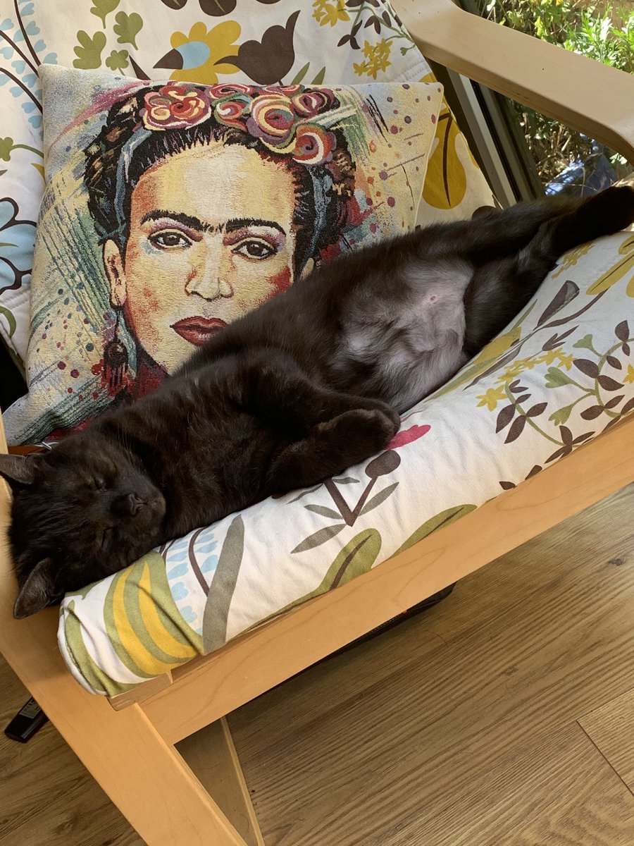 Rebecca Hinks tweet media