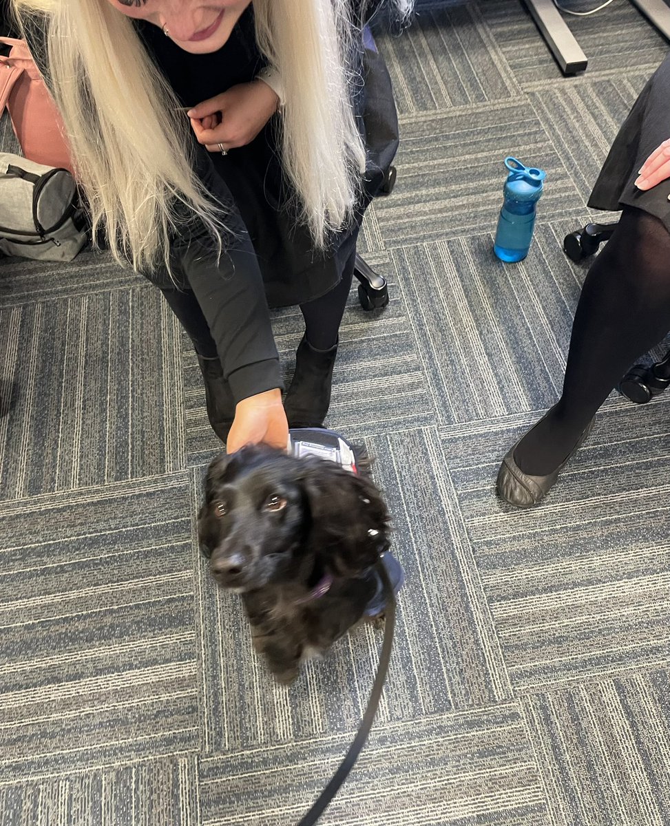 OK9 WB dog ‘Miss Darcy’ made an early visit to Response then CMCU to help the well-being of our amazing colleagues. <a href="/OscarKiloNine/">OscarKilo9</a> 
#ResponsePolicingWeek #Wellbeing