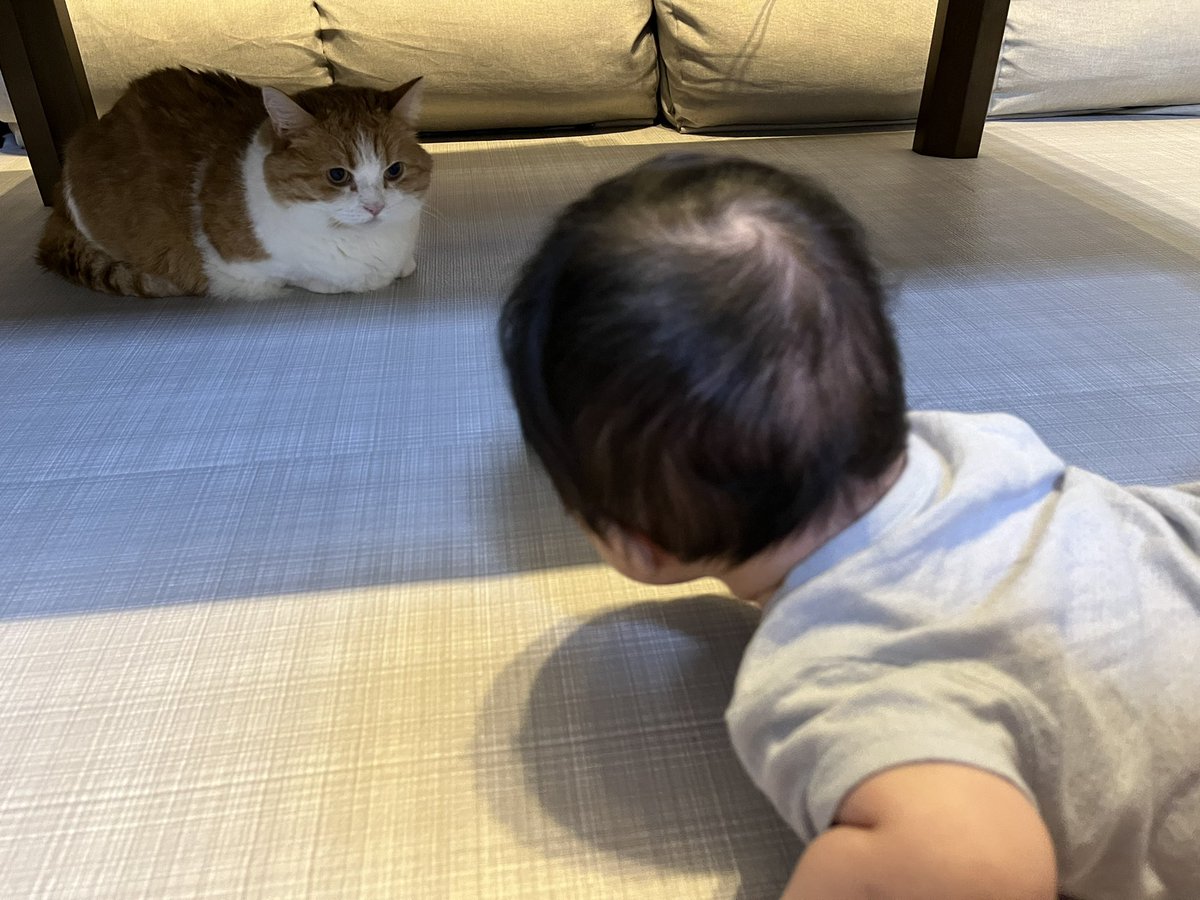 お互いに「なんやコイツ…？」っていう空気が流れてたよね