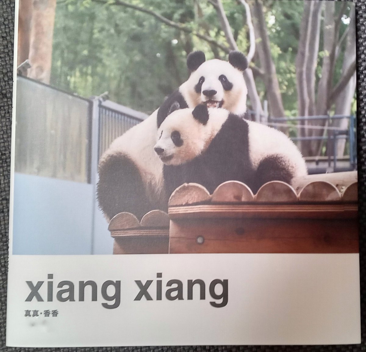 ネット限定】 上野動物園 パンダ 写真集 すくすく シャンシャン フォト 