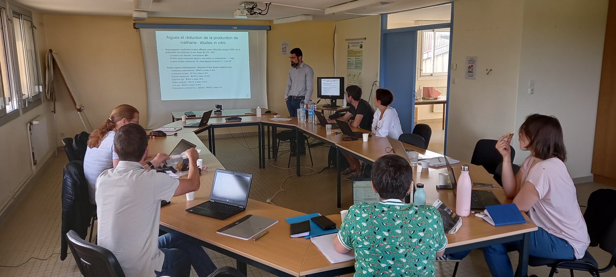 B_Rouille's tweet image. 🚨 Comité de pilotage du projet #METHALGUES à mi-parcours (2021-2023)

Des #algues, des tests in vitro, des premiers résultats in vivo à venir, pour encore 18 mois de travail pour réduire les émissions de #méthane entérique chez la #vache laitière !