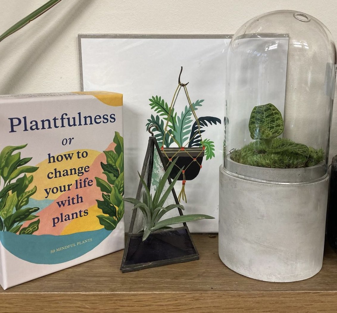 botanicyork's tweet photo. Morning plant lovers! 🌵🪴

We have plenty of plant goodies in for Father’s Day this Sunday! There is great prints, pots and terrariums perfect for Dads desk or Grandads fireplace! Or perhaps treat someone else special (or yourself! 😉) and spread the plant love! 🪴🌵 https://t.co/1f5syoEiIN