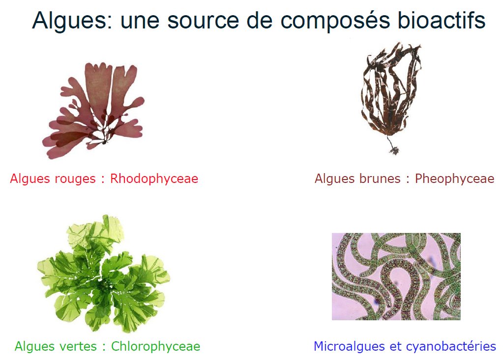 B_Rouille's tweet image. 🚨 Comité de pilotage du projet #METHALGUES à mi-parcours (2021-2023)

Des #algues, des tests in vitro, des premiers résultats in vivo à venir, pour encore 18 mois de travail pour réduire les émissions de #méthane entérique chez la #vache laitière !