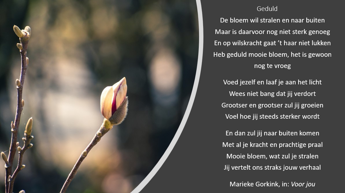 boom_plan's tweet photo. @boom_plan #planboom #natuurgedicht #natuurgedichten #natuur #natuurinnederand #nonprofit #postcodeloterij #degroeneinvestering #turien #boomlab #natuurenmilieufederatie https://t.co/3mU6yANJps