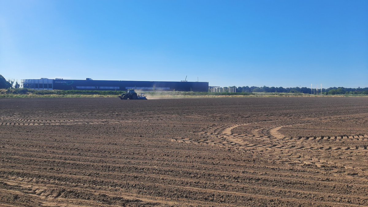 Onze hoofdteelt bonen voor @greenyard vandaag gezaaid. 🤞hopen dat de larven van bonenvlieg ervan af blijft anders kunnen we volgende week nog een keer zaaien.