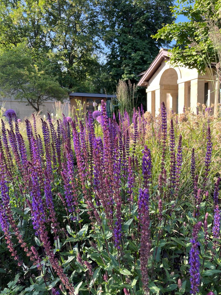 BathnesParks's tweet photo. Sydney Gardens is oozing colour and helping to encourage pollinators to the Gardens.
#letsgetbuzzing  Find out how you can get involved.
https://t.co/tPG4jpabY0 https://t.co/UbeZSqZEPT