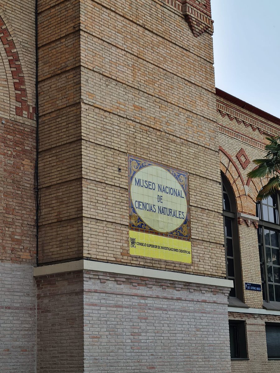 ¡Ya estamos en el Museo de Ciencias! Empieza la diversión ☺️ #5años #proyectodinosaurios <a href="/TeacherSandraHB/">Teacher Sandra</a>