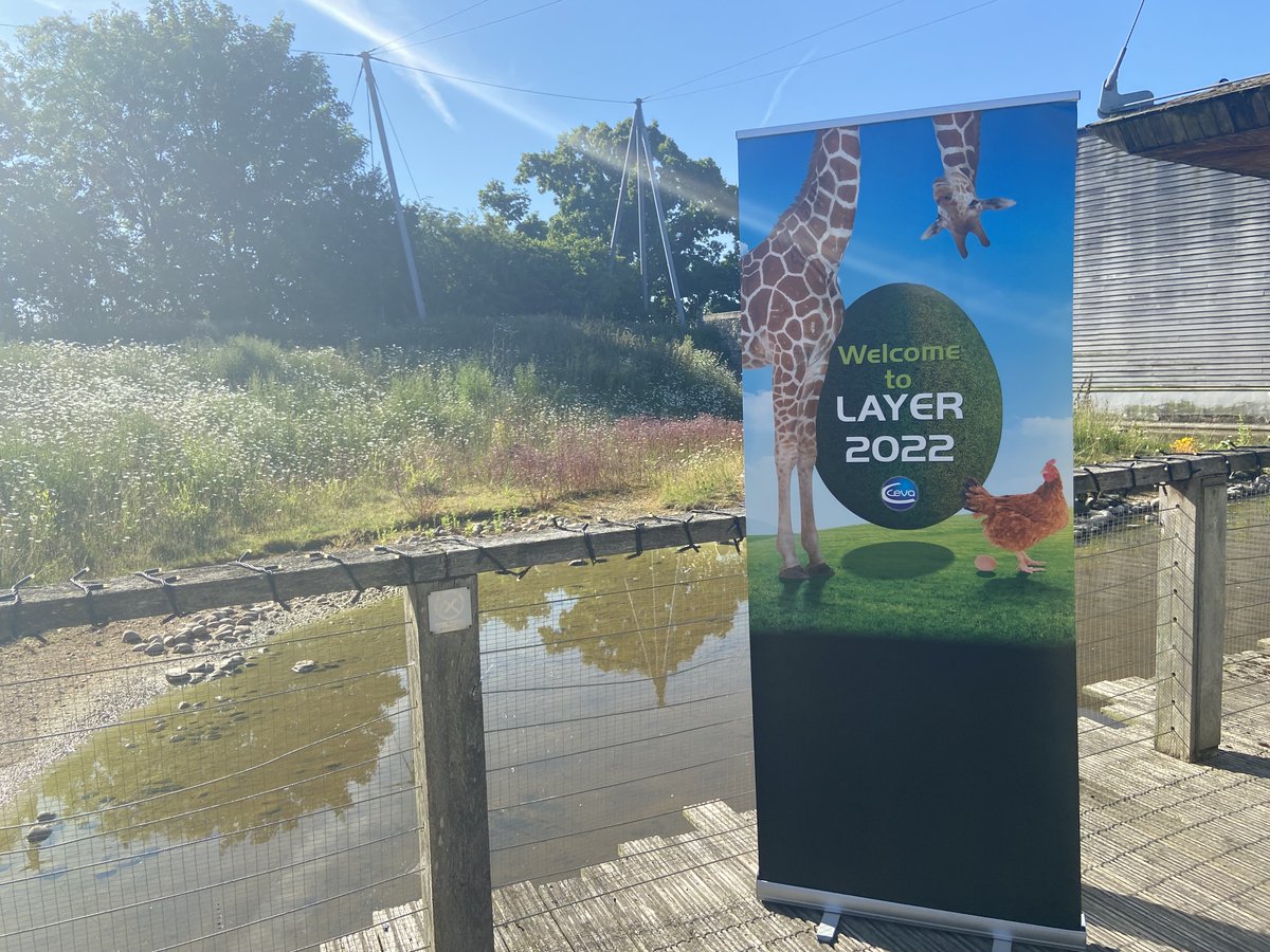 Ceva_UK's tweet photo. [🥚 #CevaLayerEvent2022]

📆 Today we are hosting our first Ceva UK layer event at @TwycrossZoo where we will be presenting challenges that the laying industry face as well as innovative solutions to help #poultry professionals. https://t.co/4SfKCqU1Gd