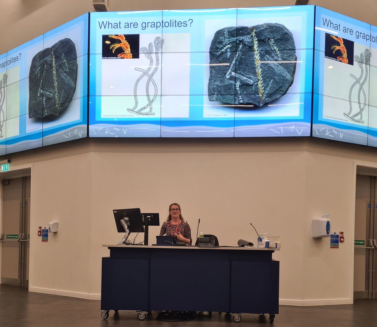 ProgPal2022's tweet image. ✨️@palaeo_anna giving a super interesting talk on the world of graptolites in Vietnam!✨️#progpal22