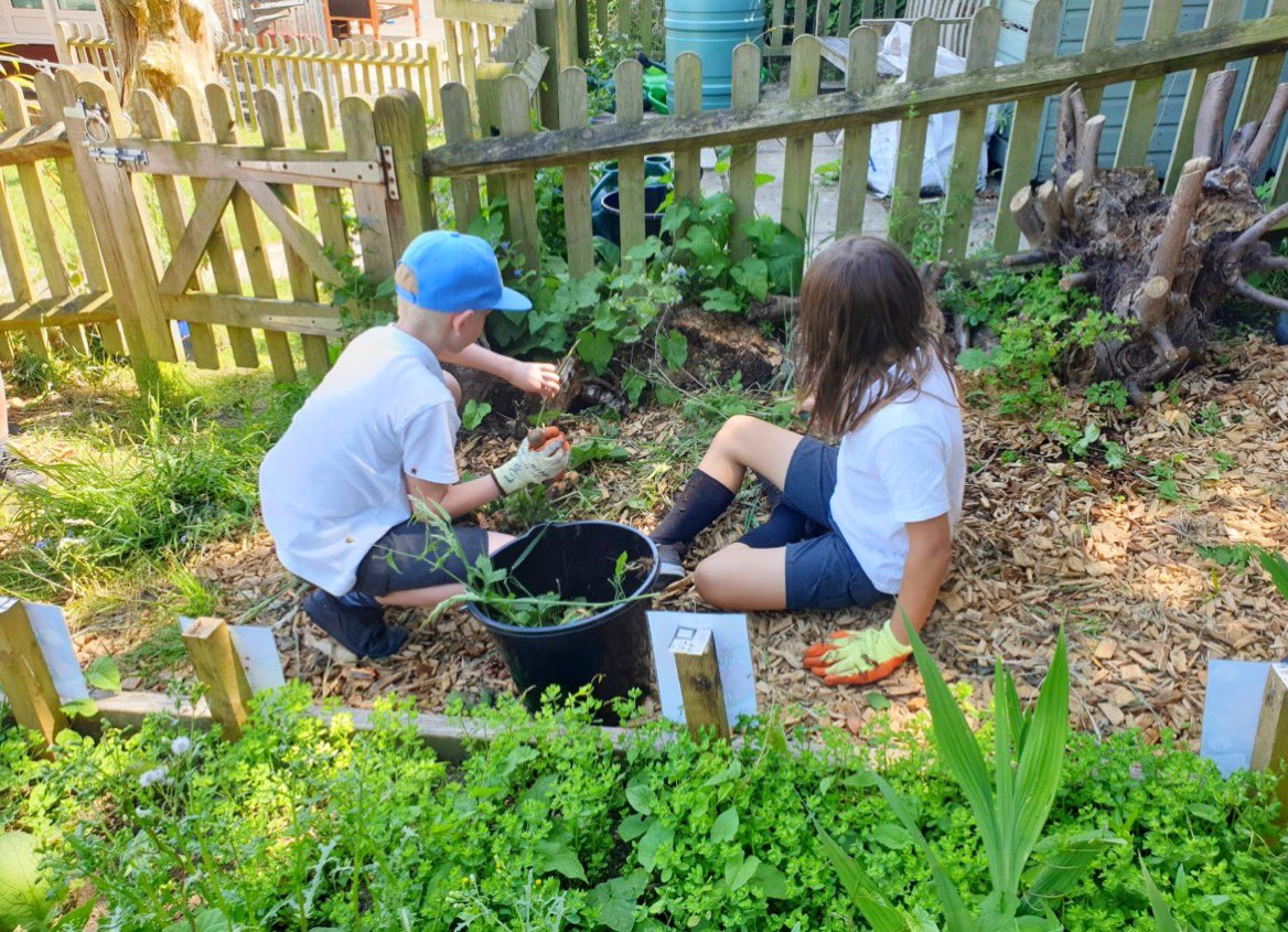 WestdenePS's tweet photo. Year 5 have been doing a fabulous job weeding the paths in our school allotment #outdoorlearning #TogetherEverybodyAchievesMore #multisensoryenvironment https://t.co/GfLYRdV8Fz