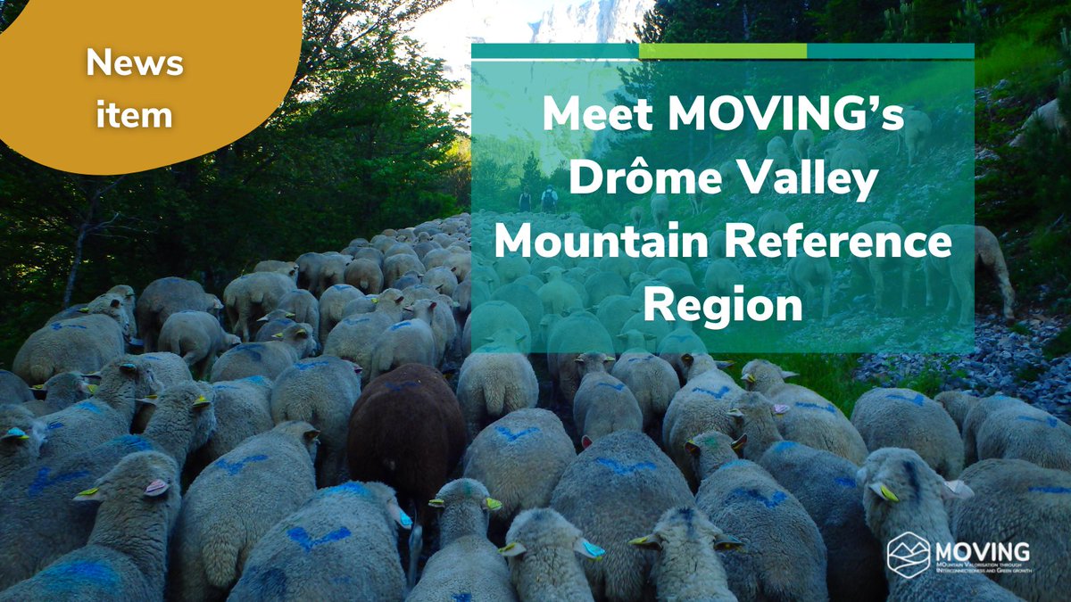 MOVINGH2020's tweet photo. 🔝 MEET DRÔME VALLEY #MOUNTAIN REFERENCE REGION! 👋

An opportunity to learn more about the 🐑 sheep meat locally produced and valorised #valuechain.

➡️https://t.co/7wX4zBuMYg 

#EUmountains #MountainsMatter https://t.co/Y6CqIWcBmX