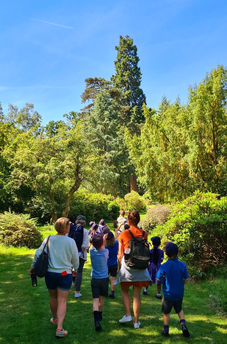 OPS_OratoryPrep's tweet image. From our very own woods to the Harcourt Arboretum in Oxford, our Year 1 children have thoroughly enjoyed the power of outdoor learning through first-hand experiences which demonstrate relevance of knowledge, understanding and skills learnt in the classroom.

#OPSLearning #Year1