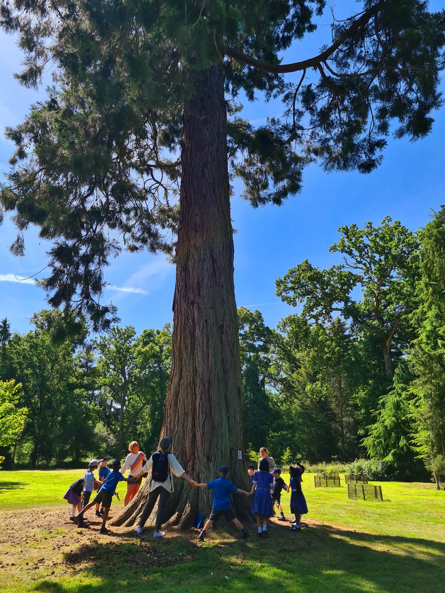 OPS_OratoryPrep's tweet image. From our very own woods to the Harcourt Arboretum in Oxford, our Year 1 children have thoroughly enjoyed the power of outdoor learning through first-hand experiences which demonstrate relevance of knowledge, understanding and skills learnt in the classroom.

#OPSLearning #Year1