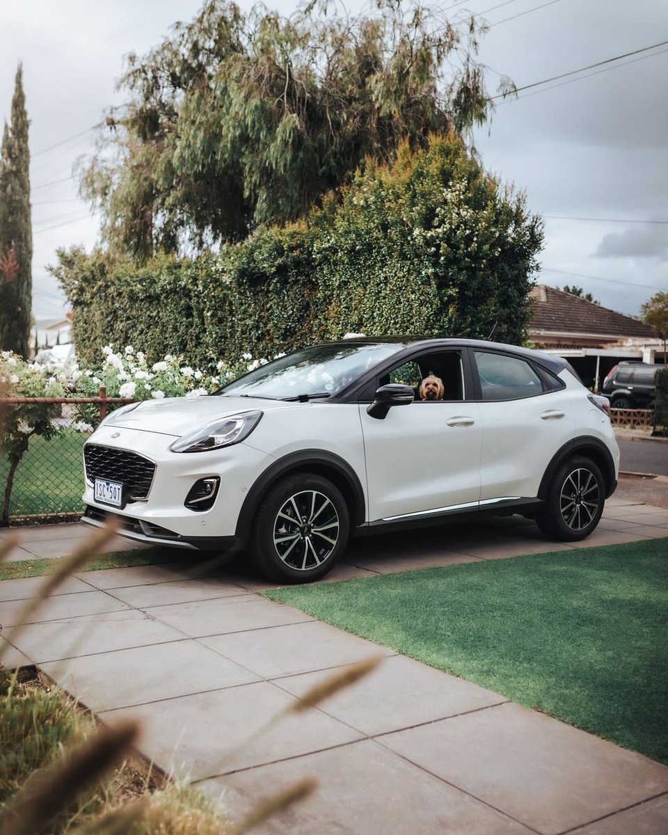 FordSpain's tweet photo. Vuelve la época de las vacaciones, y nuestros fieles amigos de cuatro patas se vienen con nosotros. En nuestro blog te contamos cómo llevar a tu perro en el coche, para que puedas hacerlo de manera segura 👉 https://t.co/zwr4f09D4l
#FordBlog https://t.co/6da12z2889